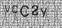 Visual Confirmation Security Code
