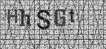 Visual Confirmation Security Code