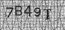 Visual Confirmation Security Code