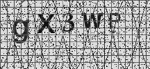 Visual Confirmation Security Code